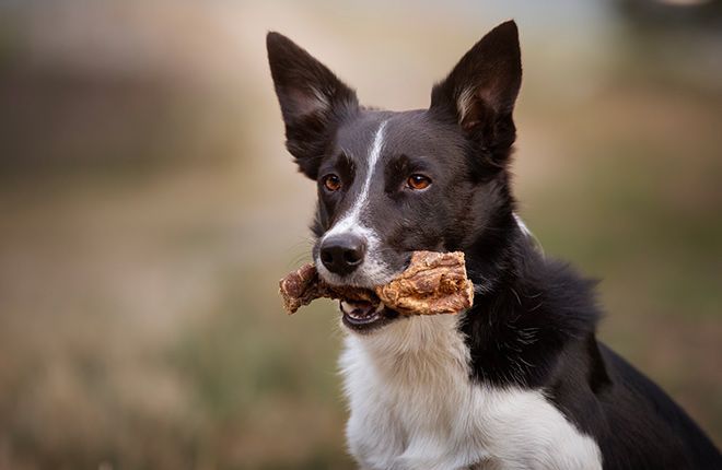Snack di Agnello Niki Natural Barf