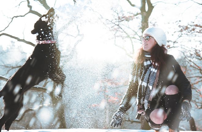 Poroteggere il cane dal freddo: scopri come!