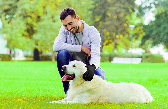 Perché il cane e il gatto cambiano il pelo ma… non il vizio di leccarsi?