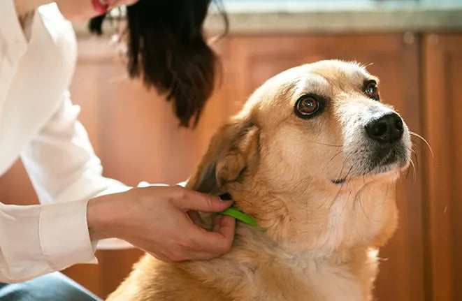 Repellenti Naturali Croci Niki Natural Defence
