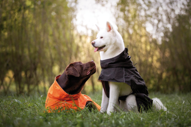 Hiking Made For The Adventure