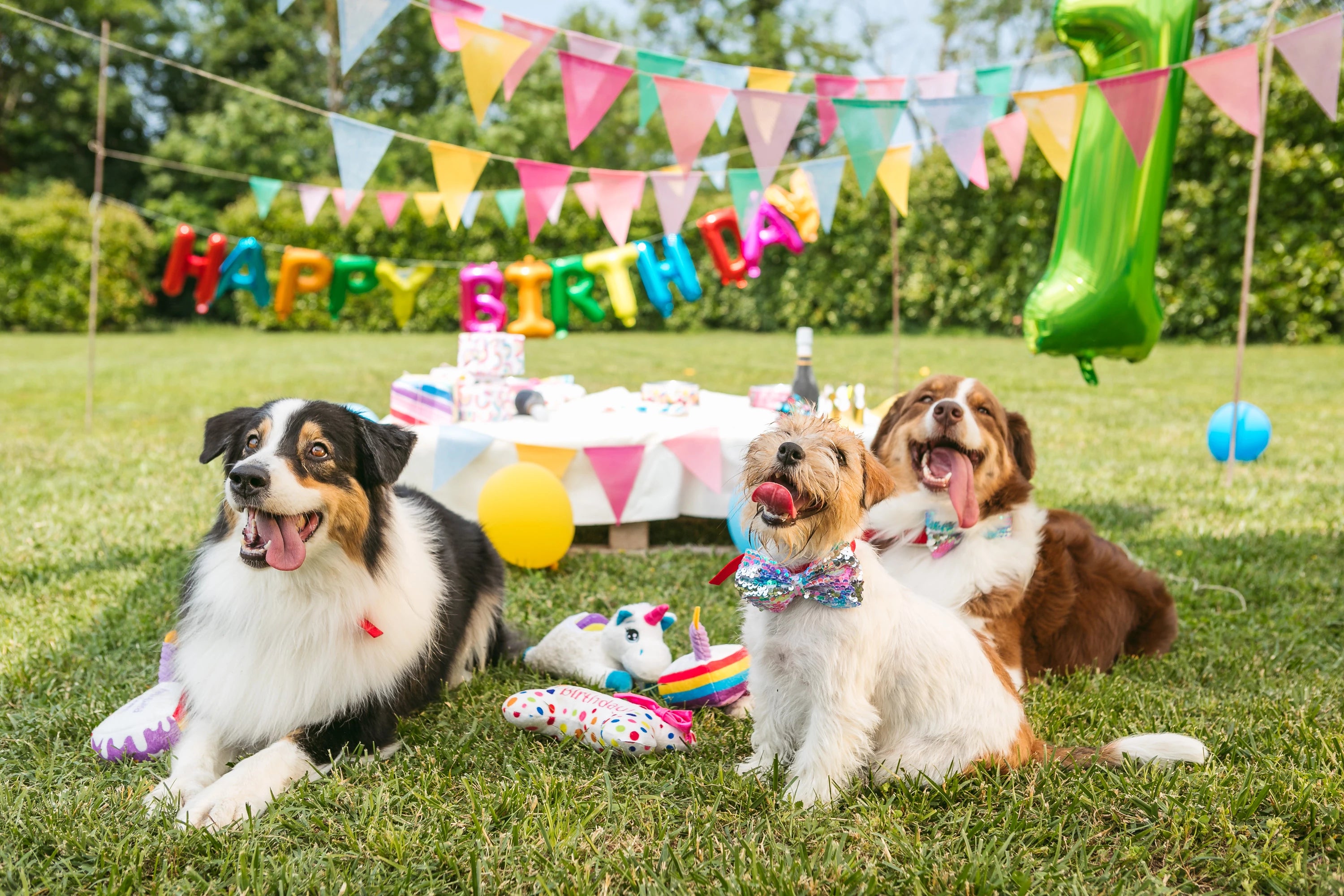 Accessori per le festività cane