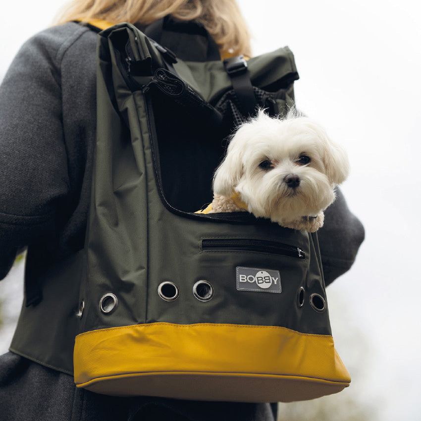 Dei Tesori Borse Per Cani Camon Borsa Trasportino Per Gatti Outlet