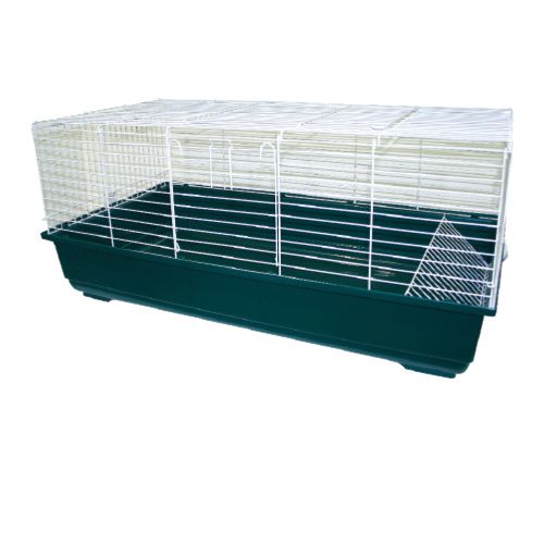 100 Guinea Pig Cage