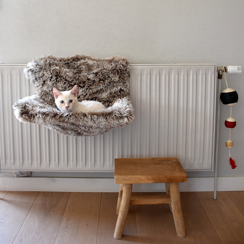 Caseta para radiador Gato Bobby Poilu