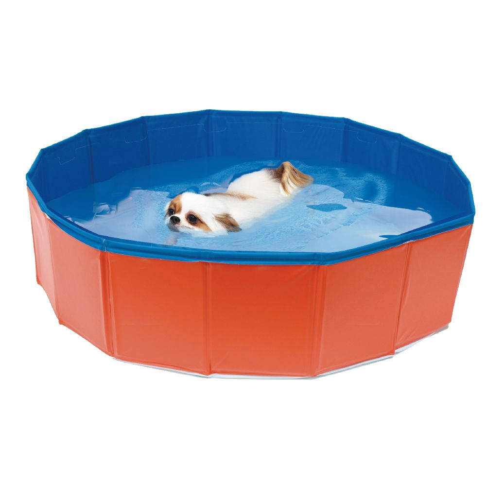 Dog pool