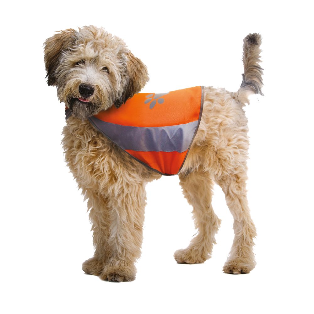 Veste réfléchissante pour chiens