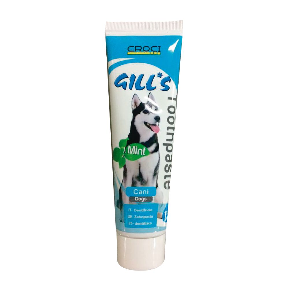 Gill's Mint Toothpaste for Dogs