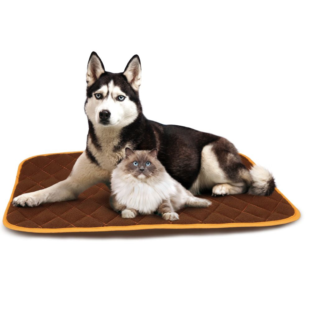 Tapis chauffant pour chiens – Thermo