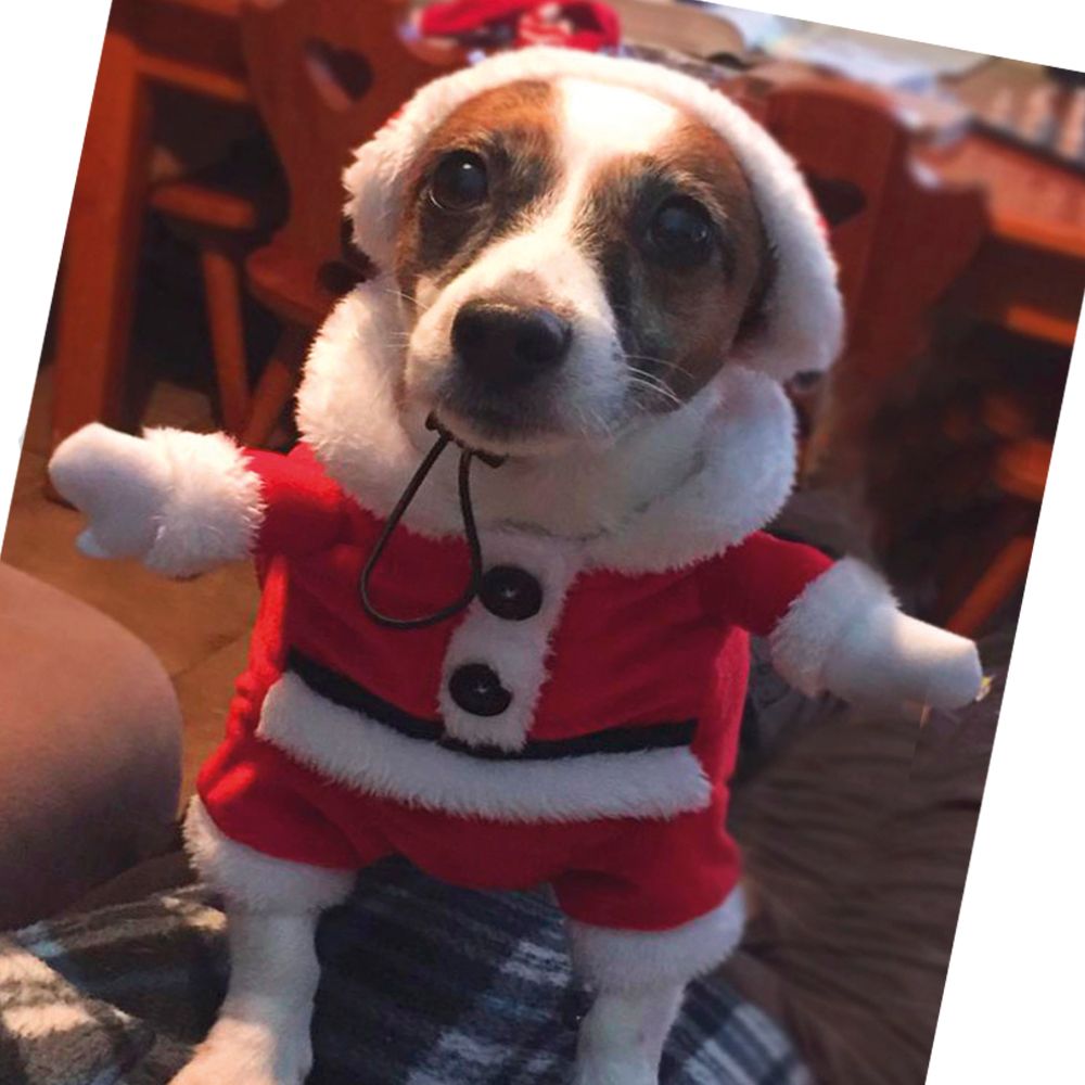 Xmas Santa Dress per Animali