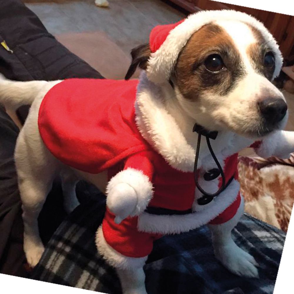 Xmas Santa Dress per Animali