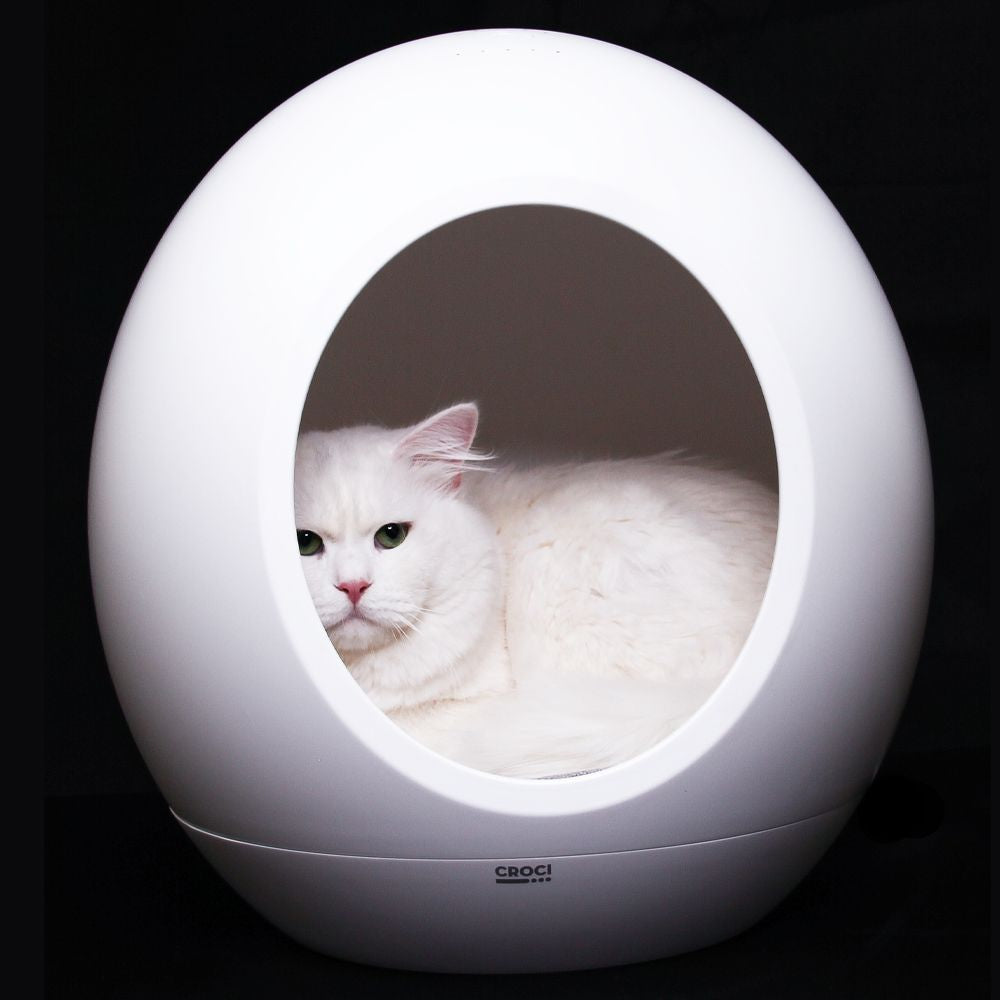 Domus technological kennel for cats and dogs