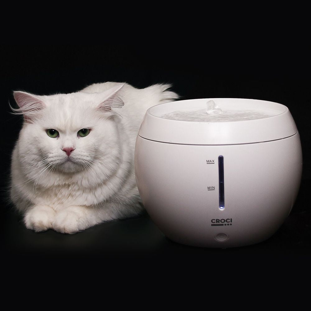 Cat fountain - Aqua