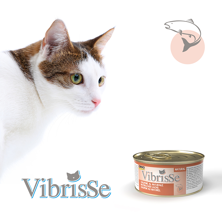 Natural cat food - Vibrisse Natural