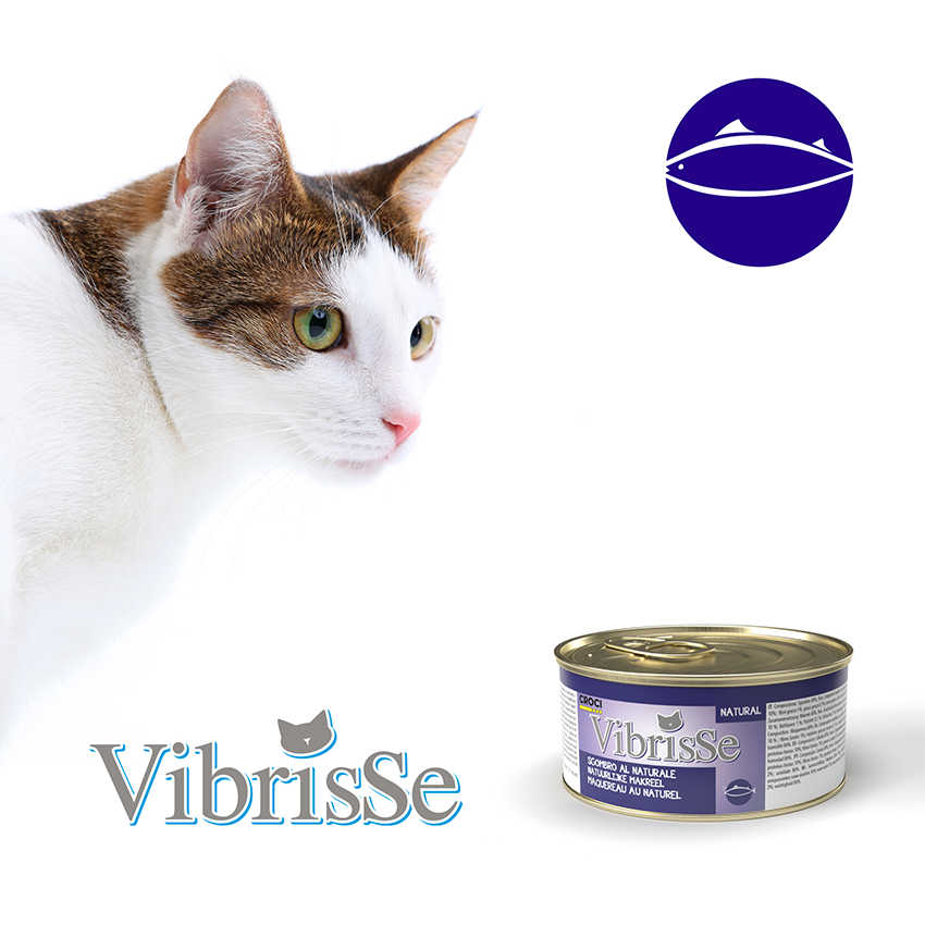 Natural cat food - Vibrisse Natural