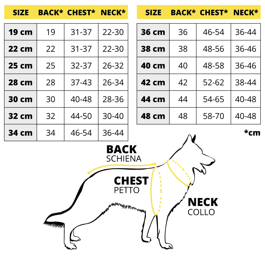 Bobby dog jacket - Rayé