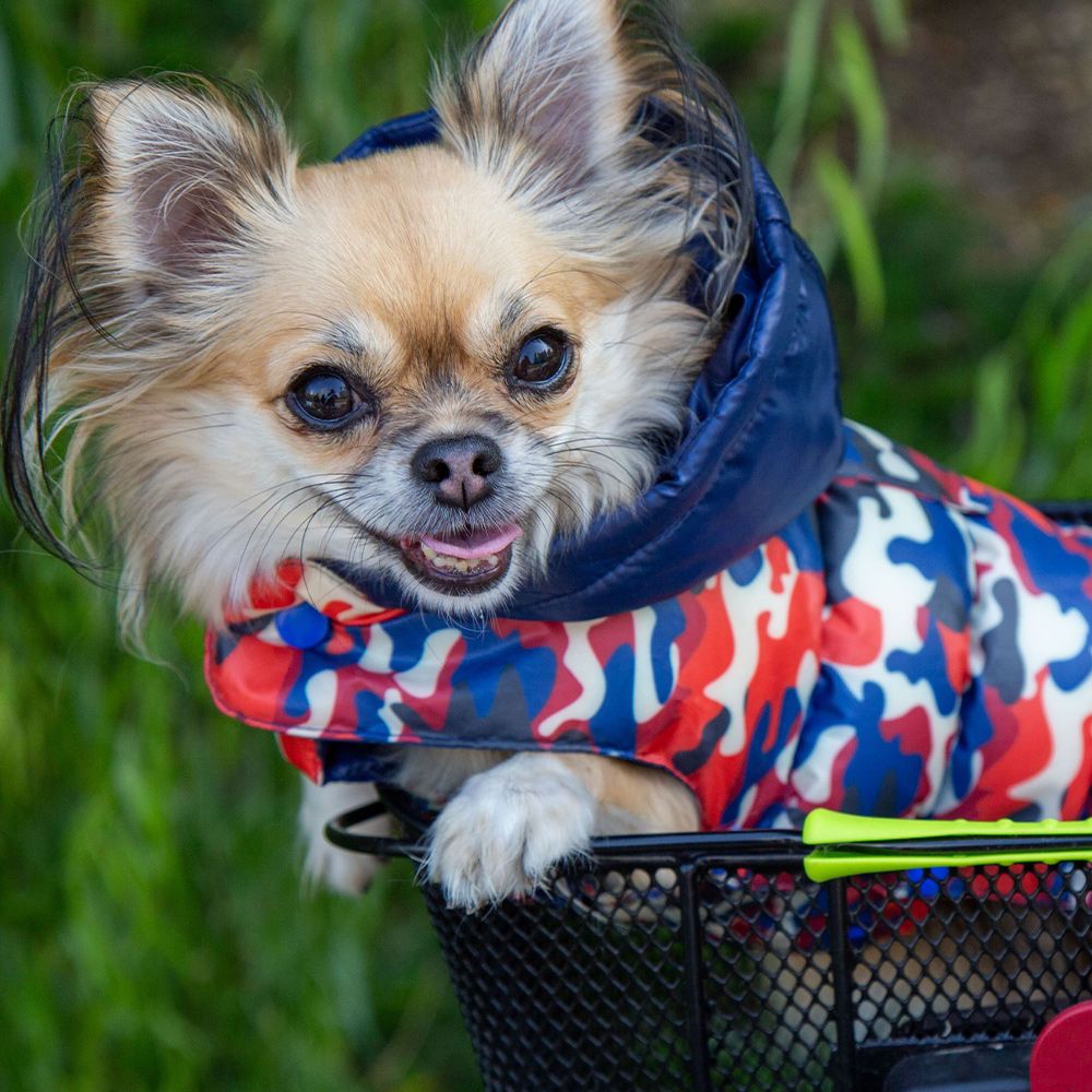 Chaqueta Aspen Camuflaje para Perros