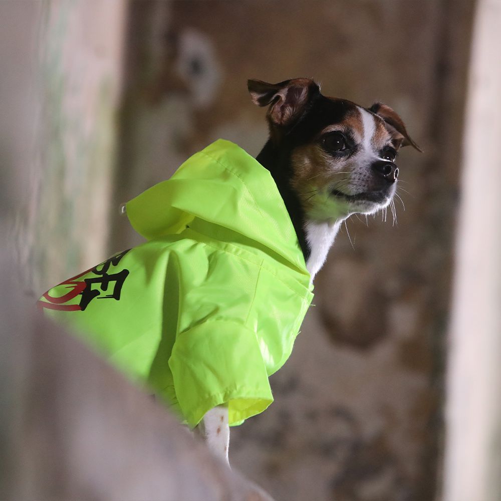 Be Cool Regenmantel für Hunde