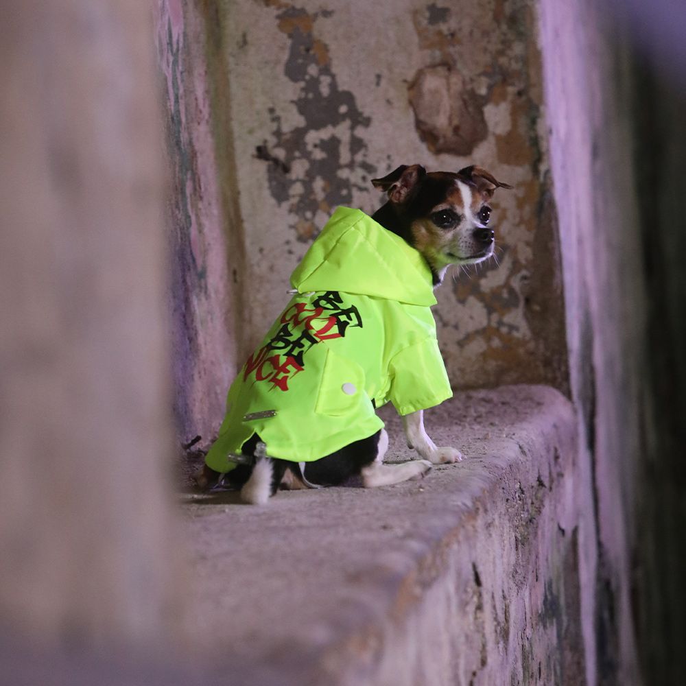 Manteau imperméable Be Cool pour chiens