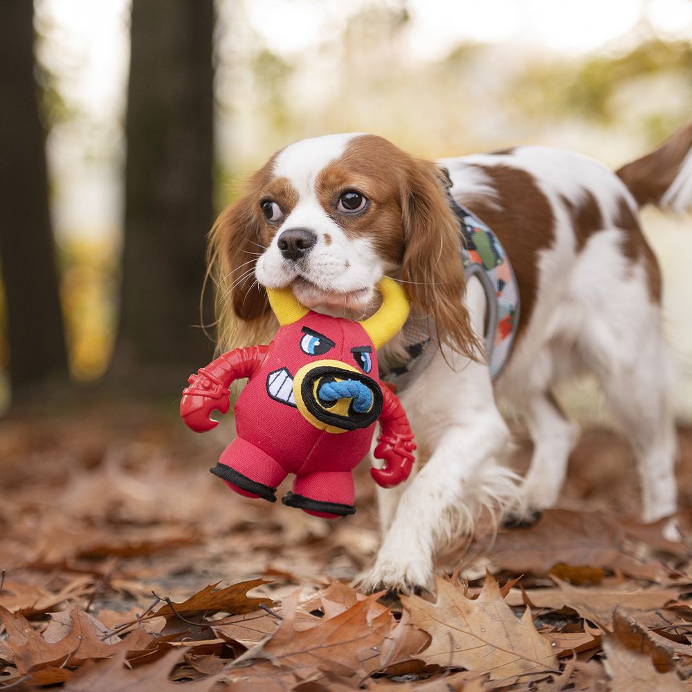 Jeu de chien en peluche - Warriors Bull