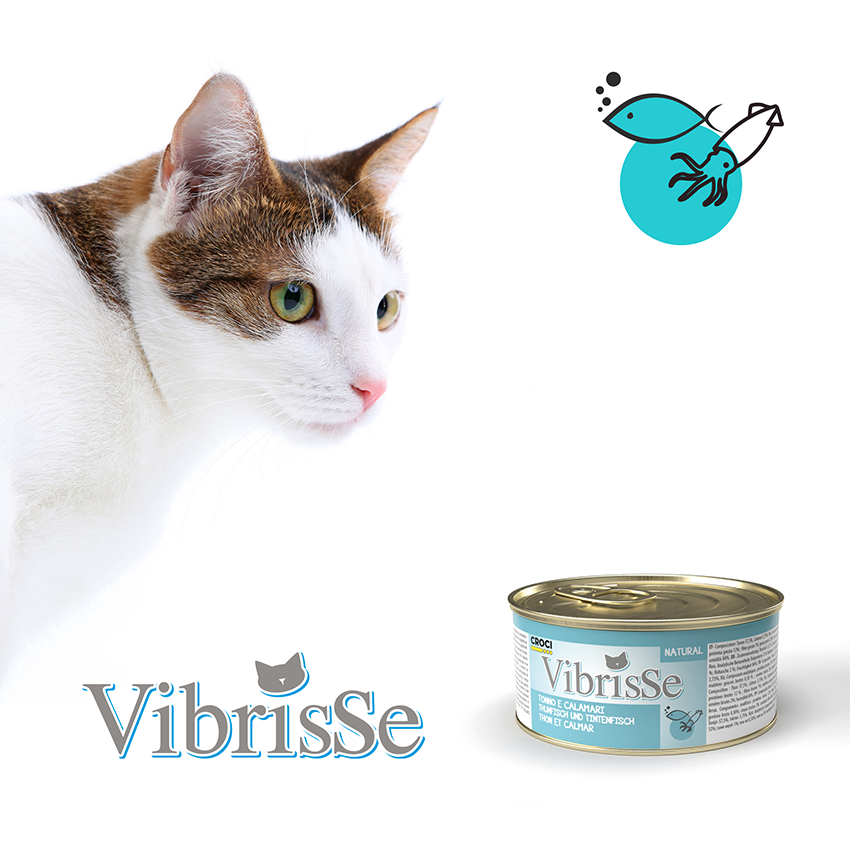 Natural cat food - Vibrisse Natural