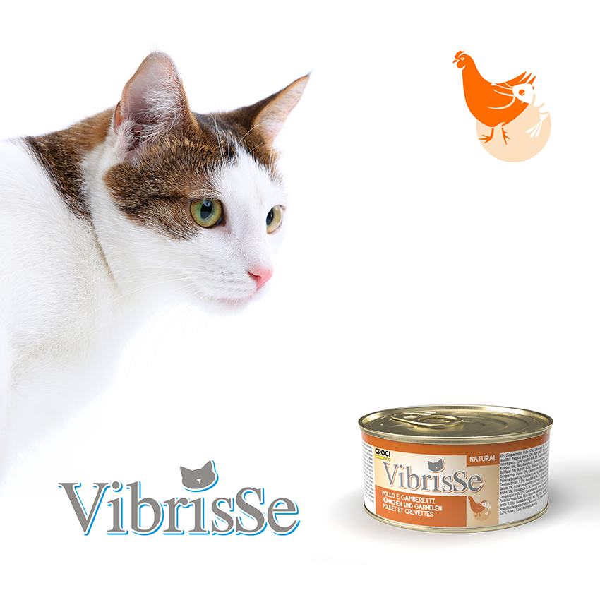 Natural cat food - Vibrisse Natural