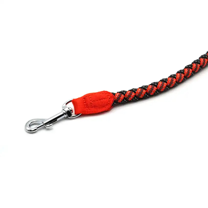 Hiking Endurance Dog Leash - Training
