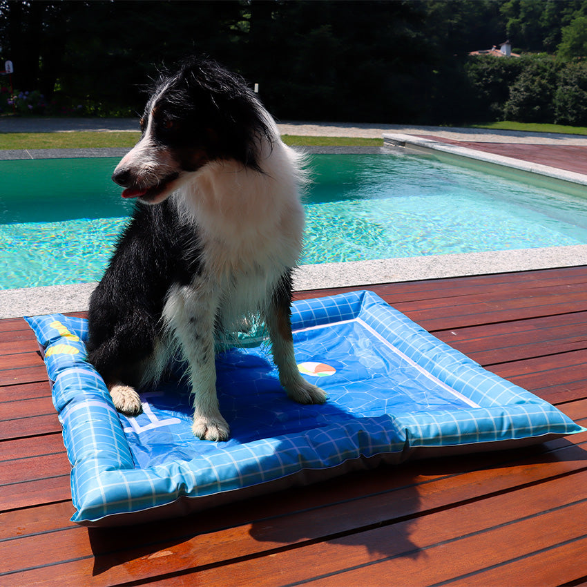 Tappetino refrigerante per cani effetto acqua 76x91 cm