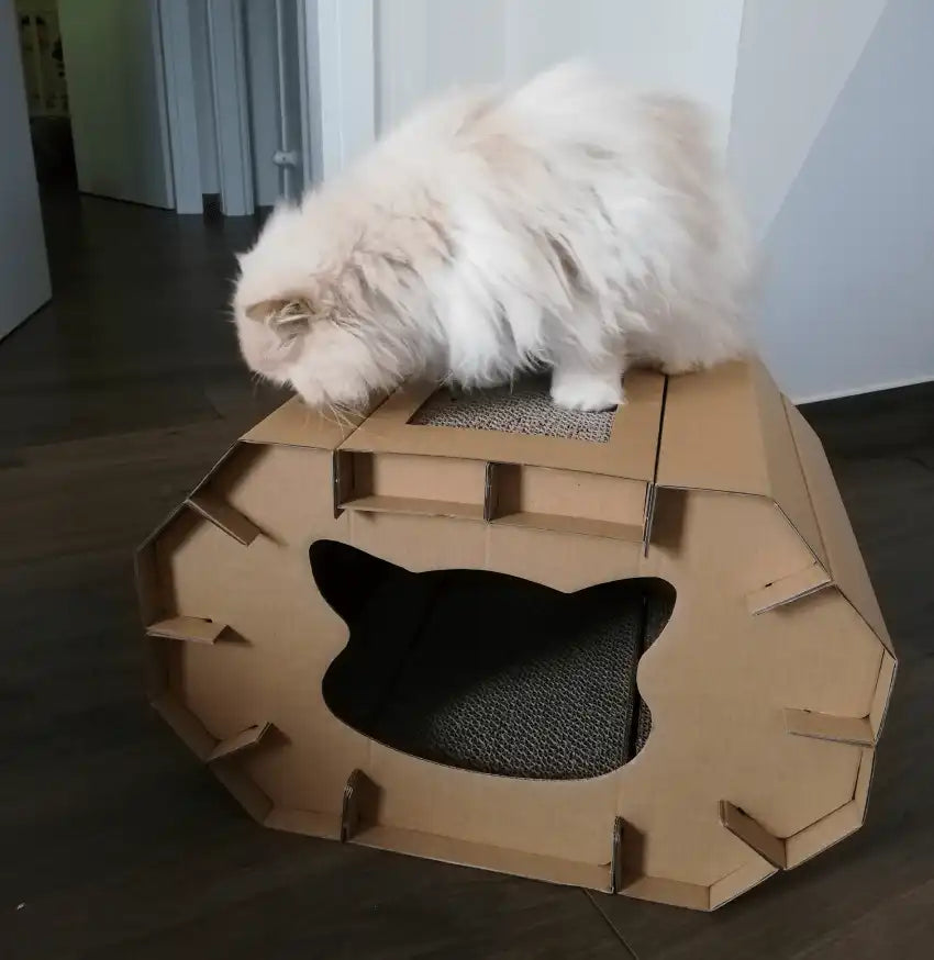 Tiragraffi per gatti Cassetta Cartone