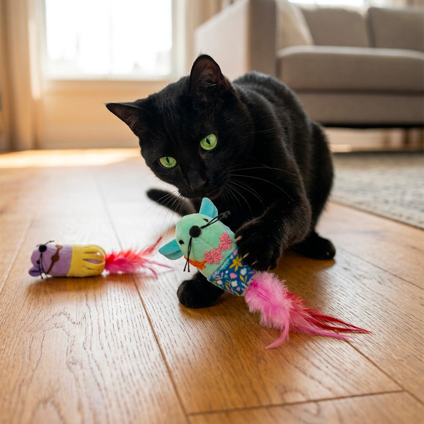 Gioco per gatti con piume 8 cm morbido e colorato