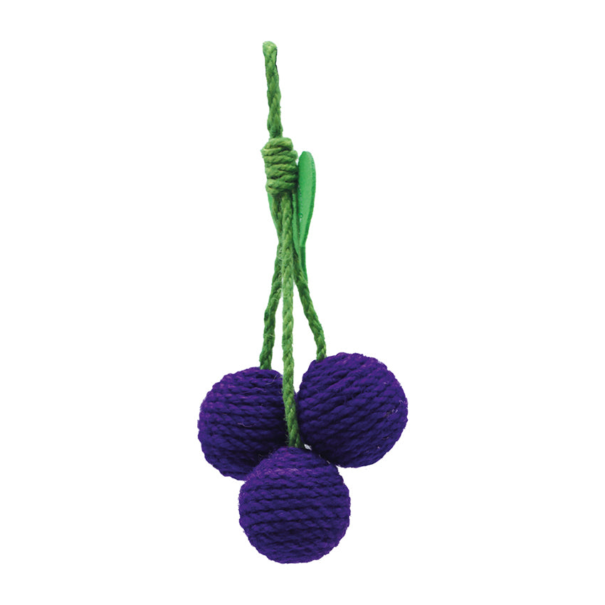 Juegos de sisal para gatos – Fruta de verano para mucha diversión