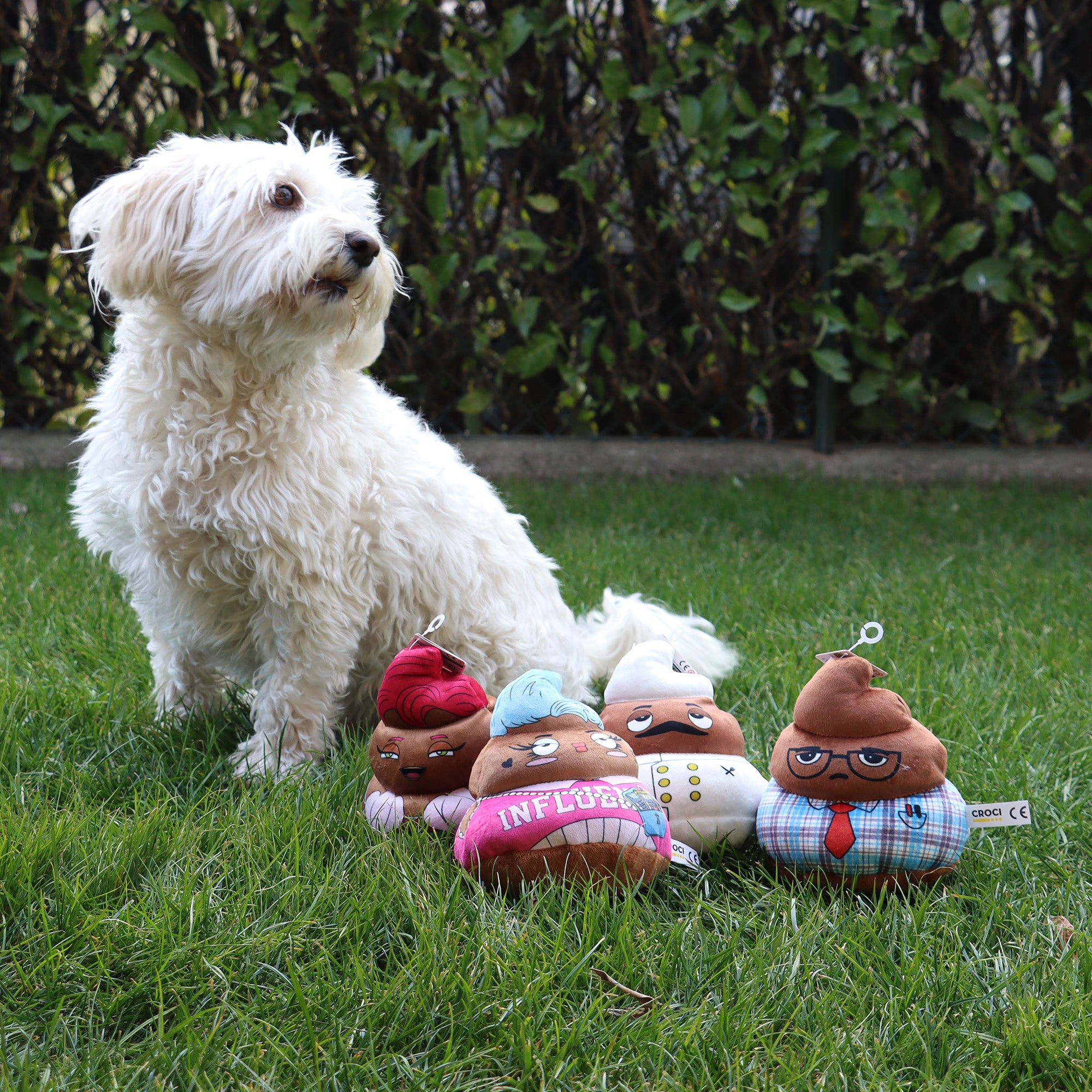 POOP CAREER Gioco per Cani con Suono, Divertente e Resistente