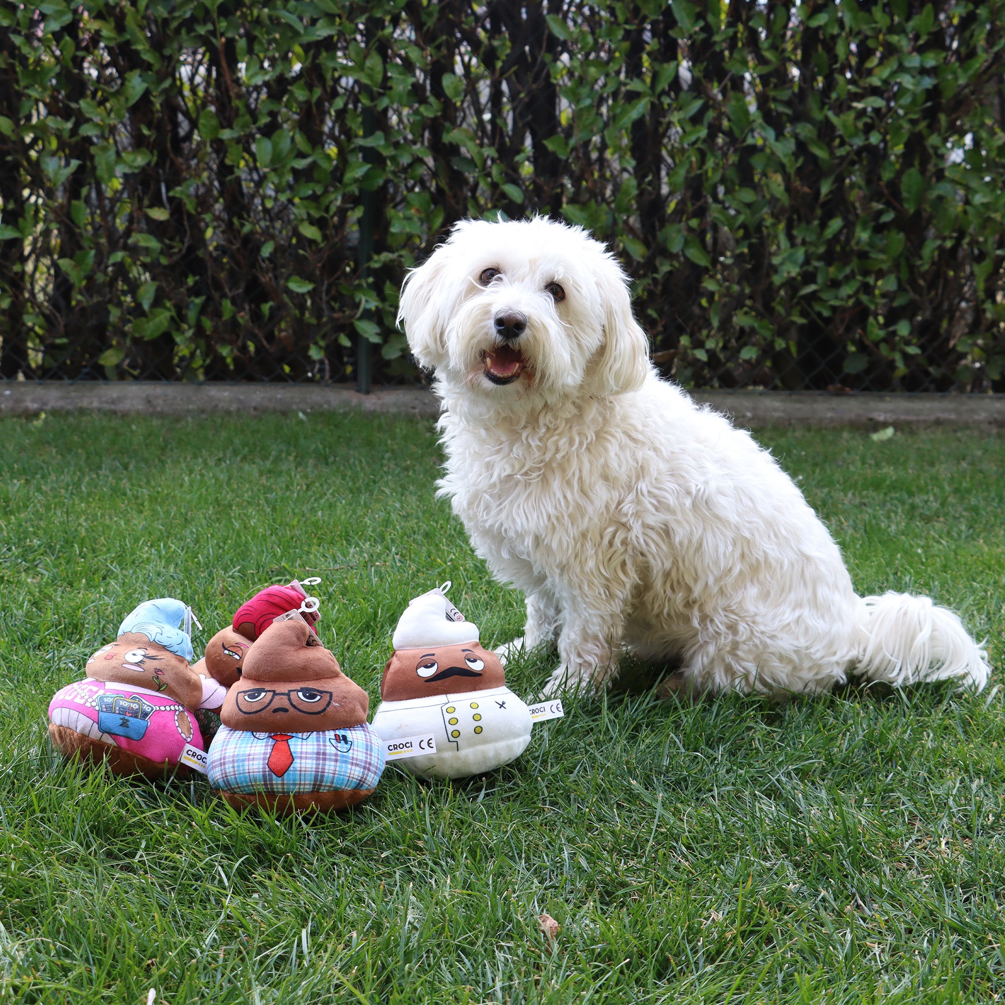 POOP CAREER Gioco per Cani con Suono, Divertente e Resistente