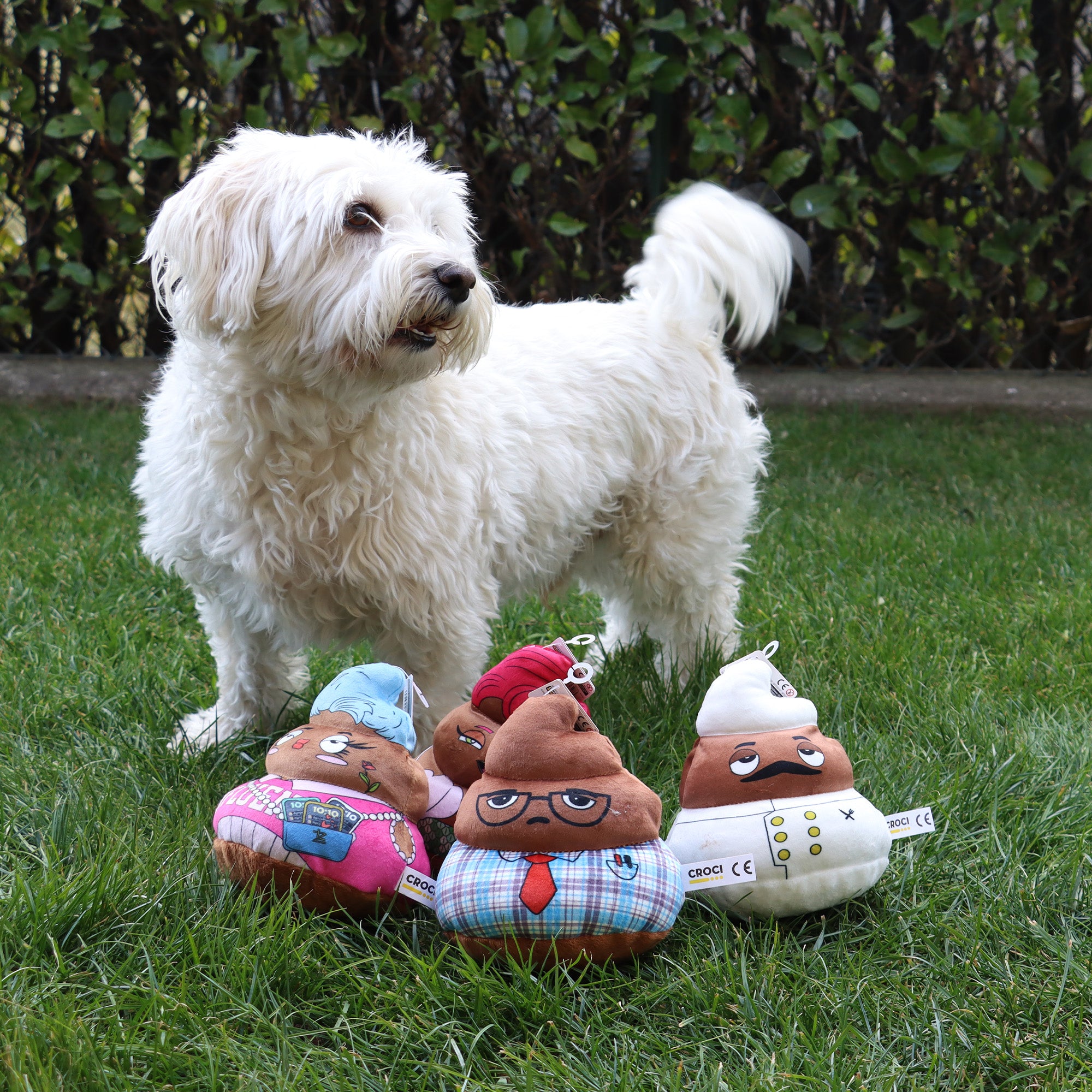 POOP CAREER Gioco per Cani con Suono, Divertente e Resistente