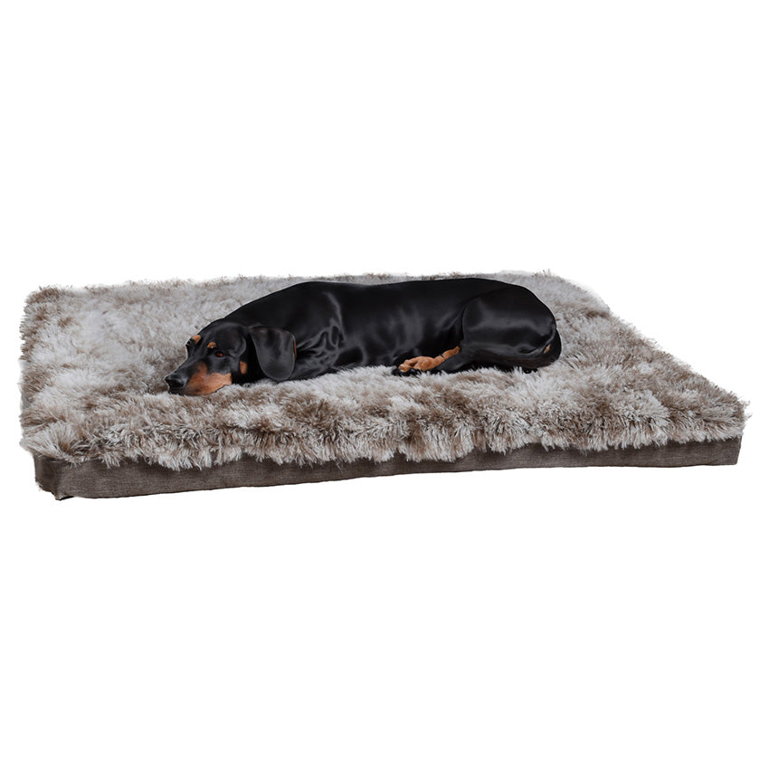 Cuscino in schiuma Bobby Poilu