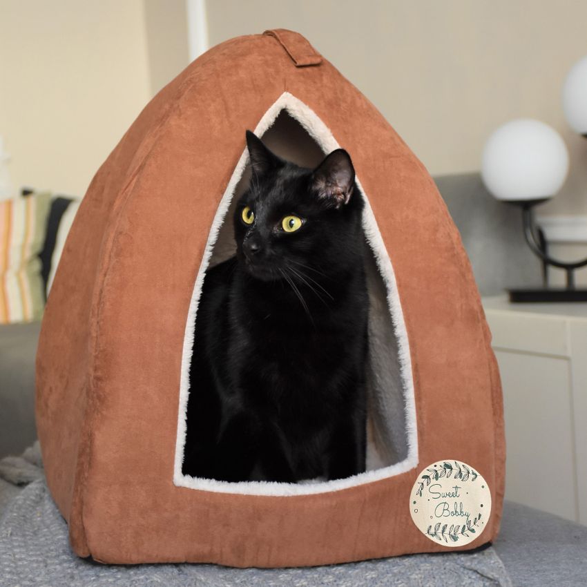 Cane cuccia Bobby Piramide