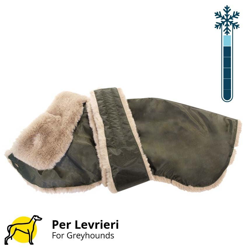 Cappotti lana levrieri Greyhound