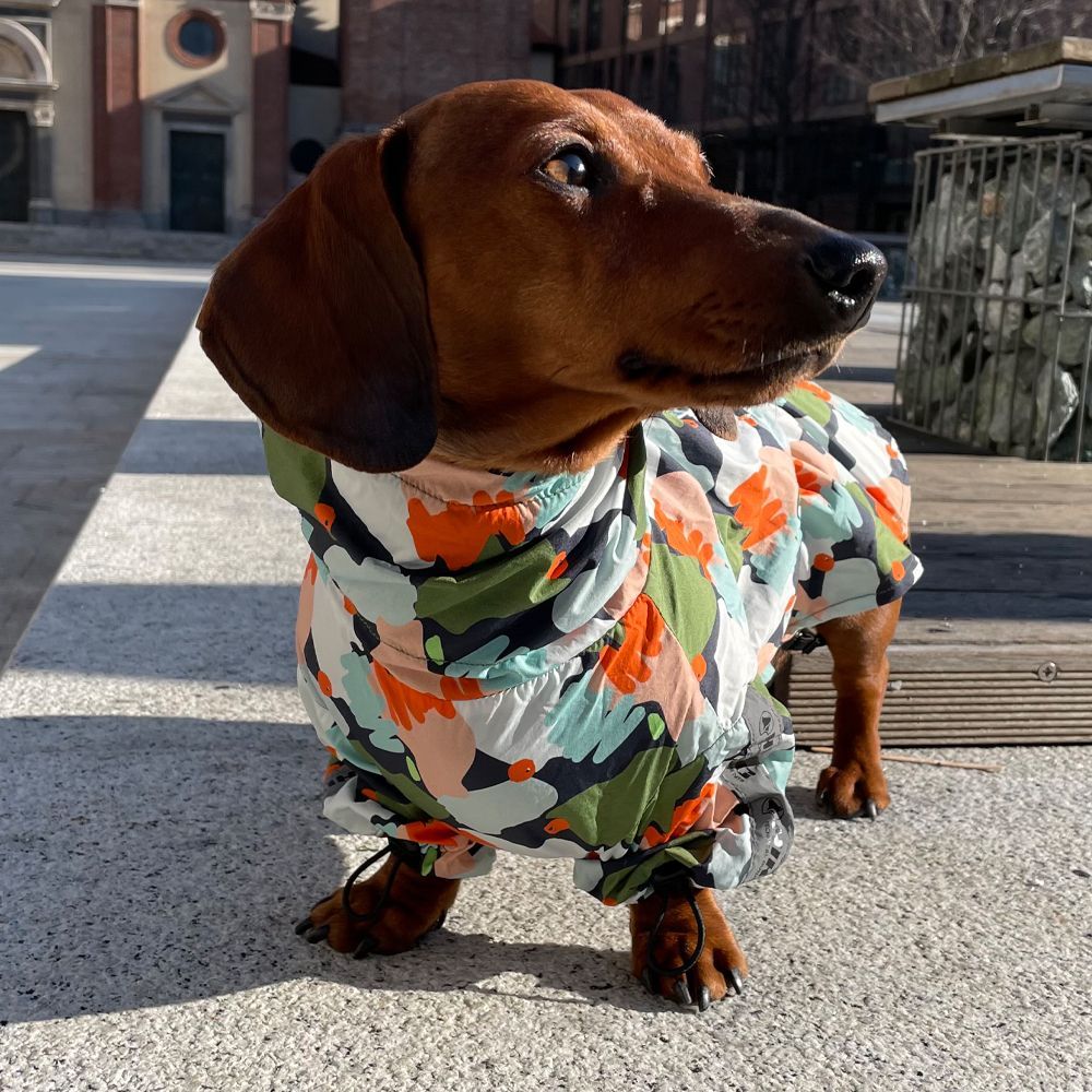 Cappottini impermeabili per cani Hiking Go