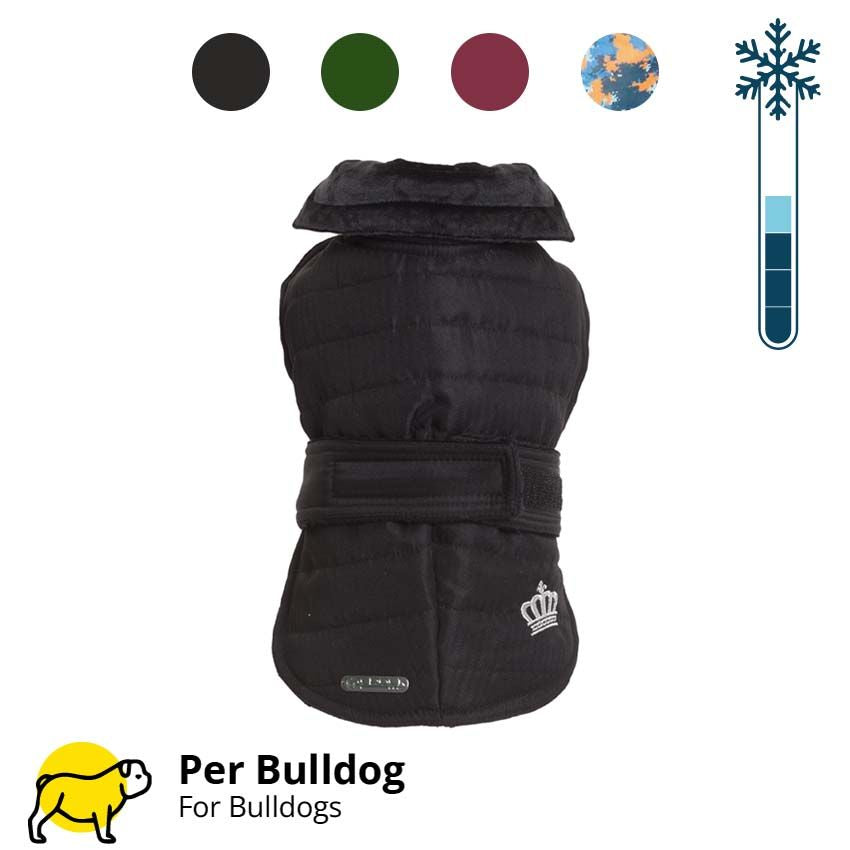 Cappottino Bulldog Francese