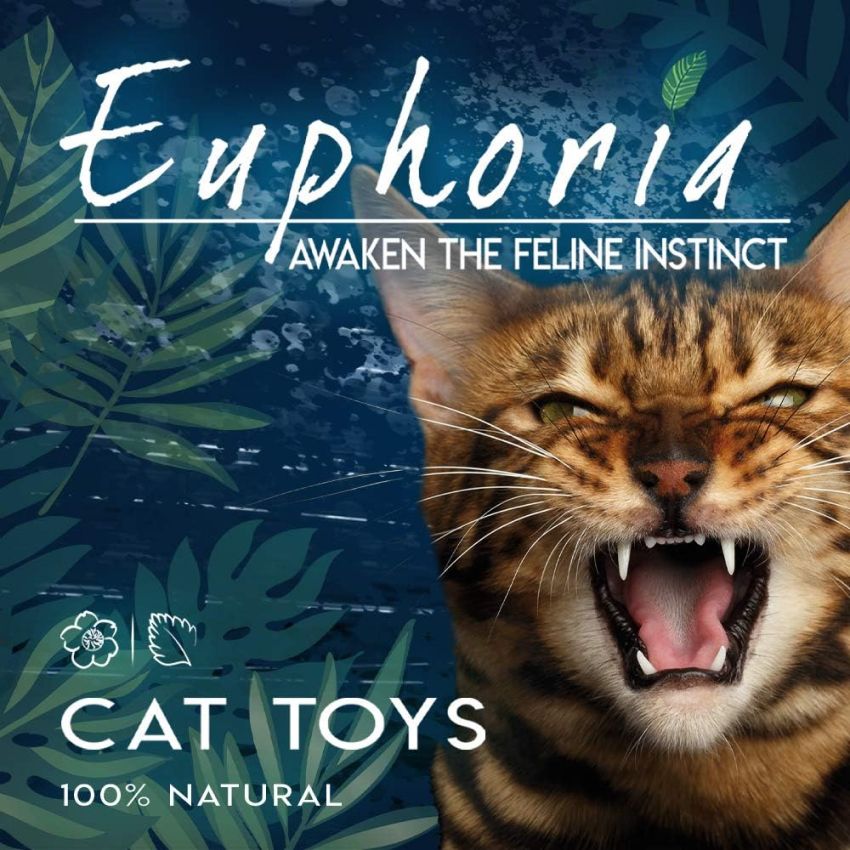 Gioco gatto Euphoria