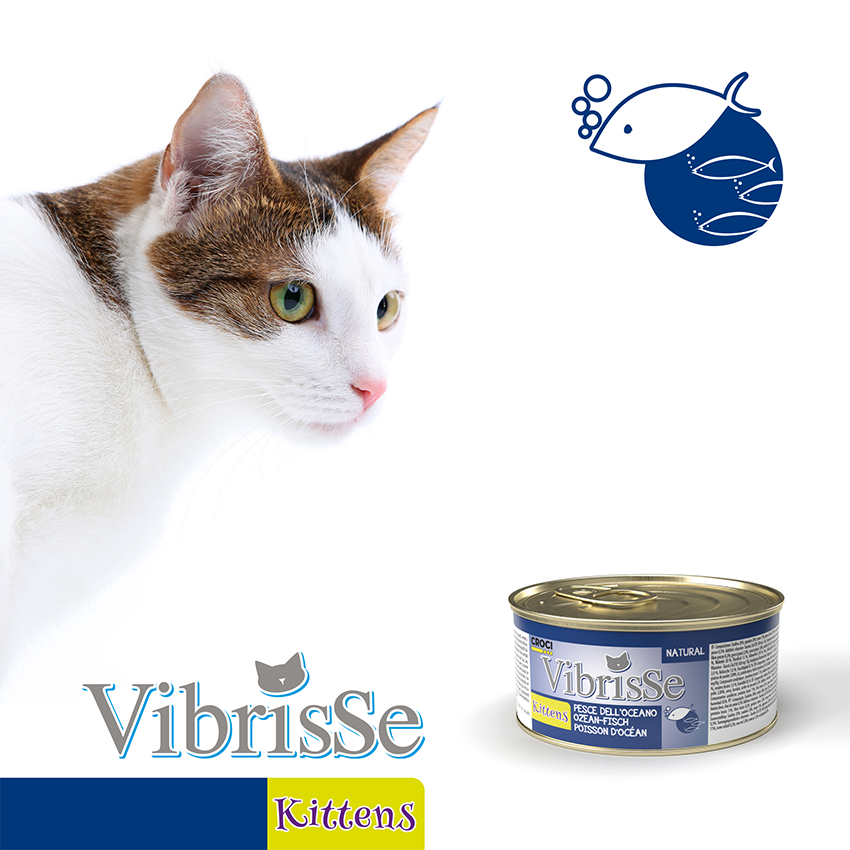 Kitten food - Vibrisse Natural Kittens 70g