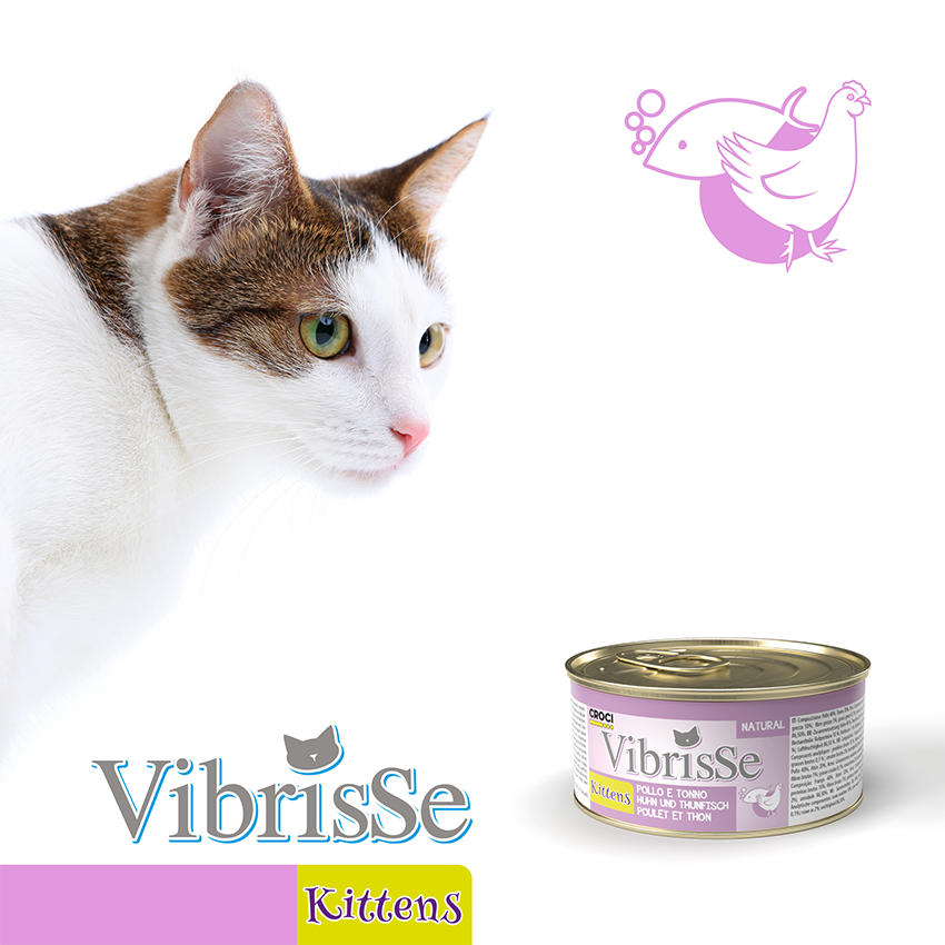 Comida para gatitos - Vibrisse Natural Gatitos 70g