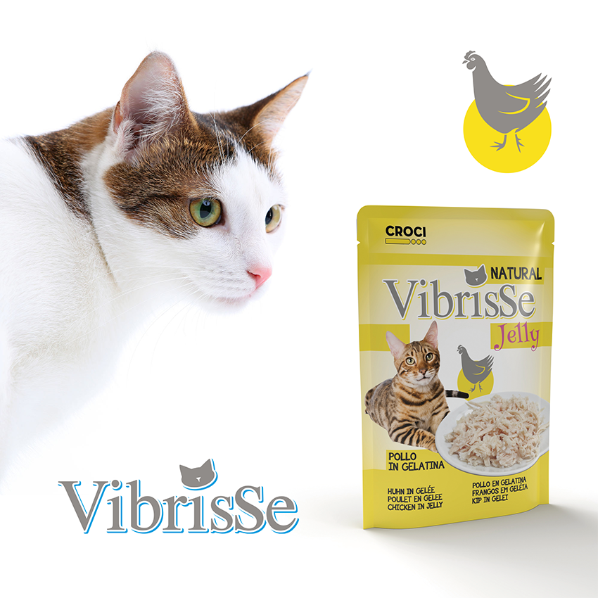 Bustine cibo umido gatto in gelatina - Vibrisse Busta Jelly 70g