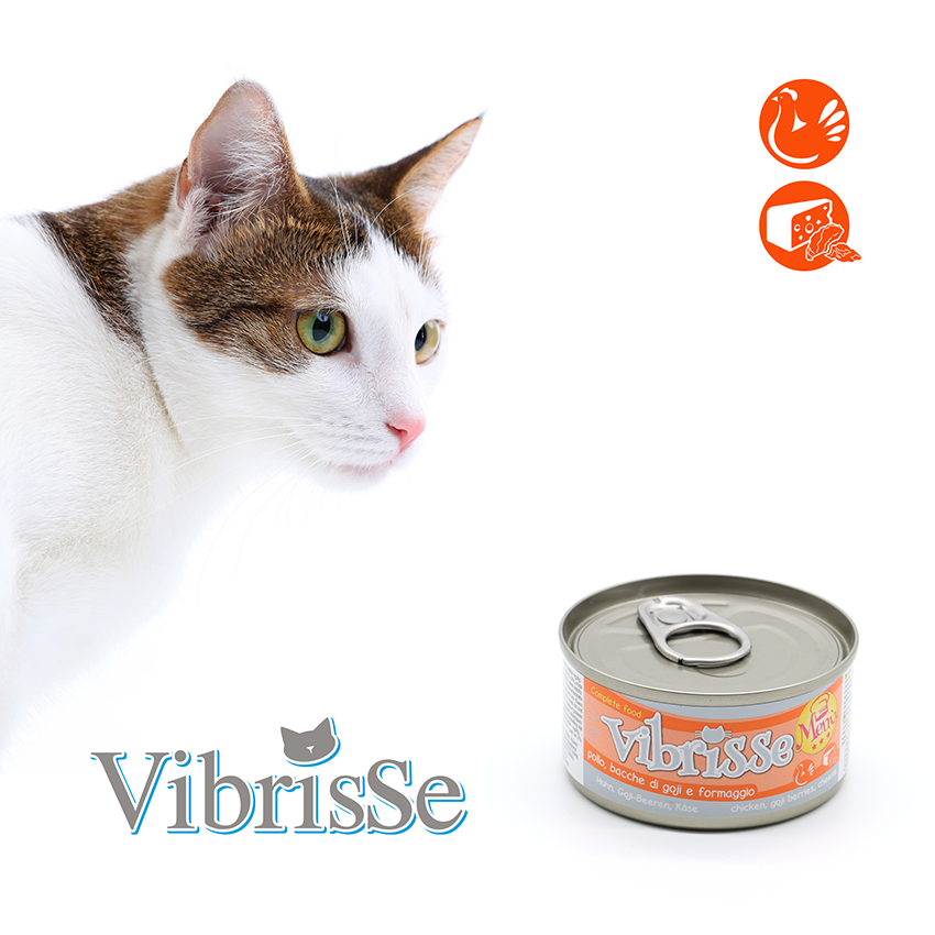 Cibo naturale per gatti - Vibrisse Menù 70g