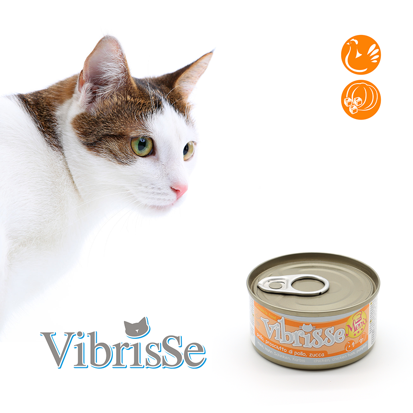 Vibrisse Menù: cibo naturale per gatti da 70g