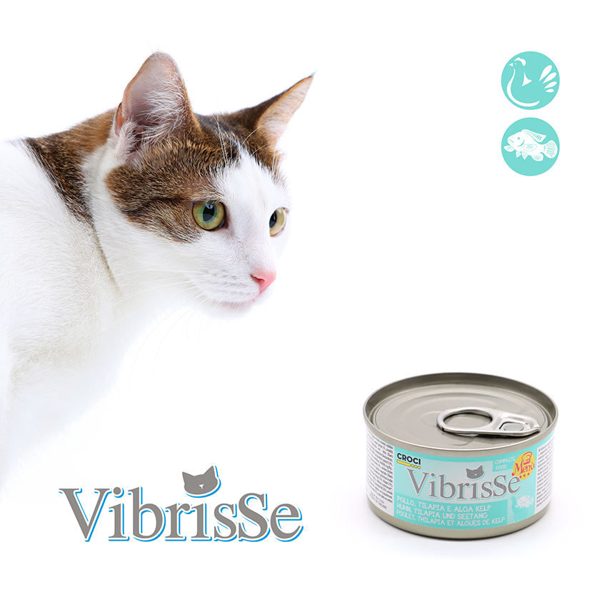 Vibrisse Menù: cibo naturale per gatti da 70g