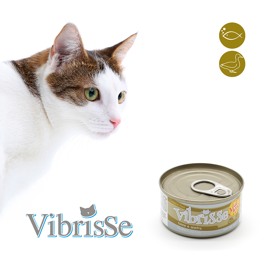 Cibo naturale per gatti - Vibrisse Menù 70g