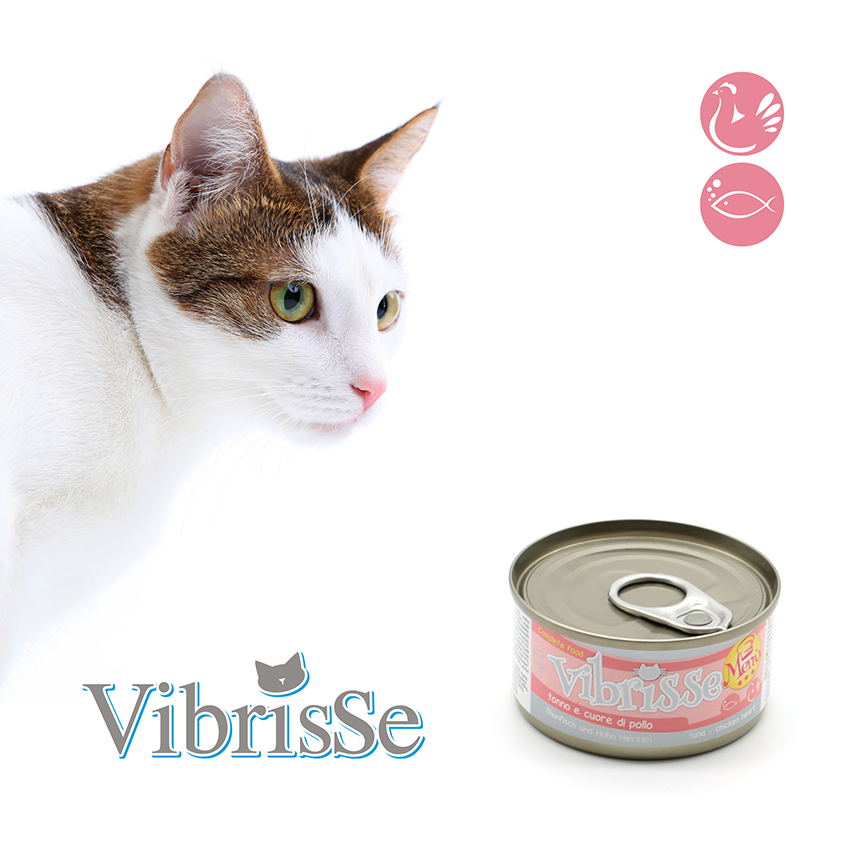 Vibrisse Menù: cibo naturale per gatti da 70g