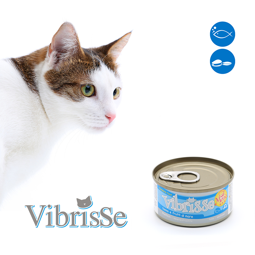 Vibrisse Menù: cibo naturale per gatti da 70g