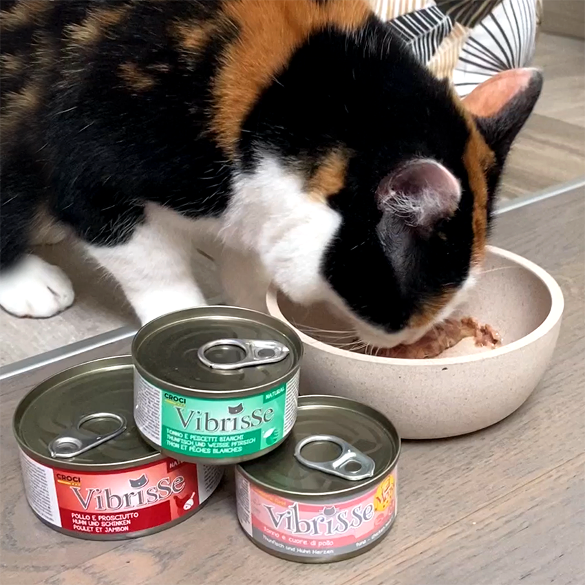 Comida húmeda para gatos en gelatina - Vibrisse Jelly Lata 70g